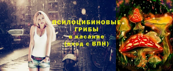 стаф Алексин