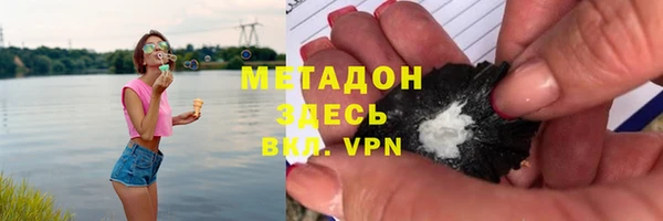 стаф Алексин