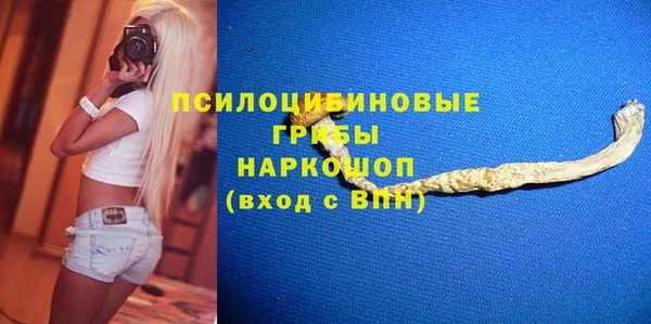 стаф Алексин