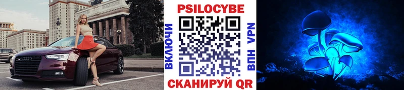купить наркотики сайты  Лесной  Галлюциногенные грибы ЛСД 